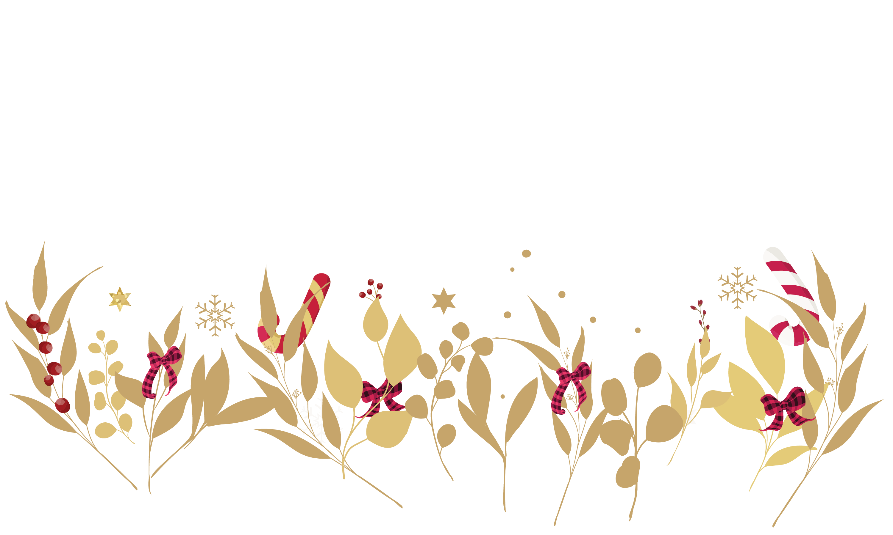 image-footer
